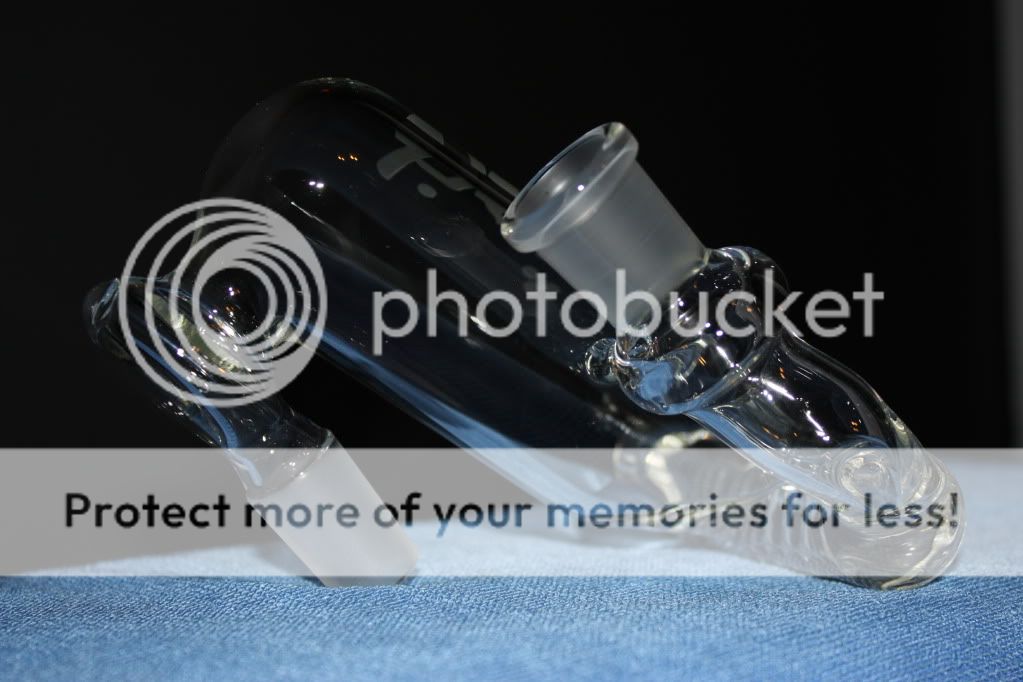 IMG_3635.jpg