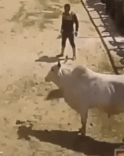 1669397155_21.gif