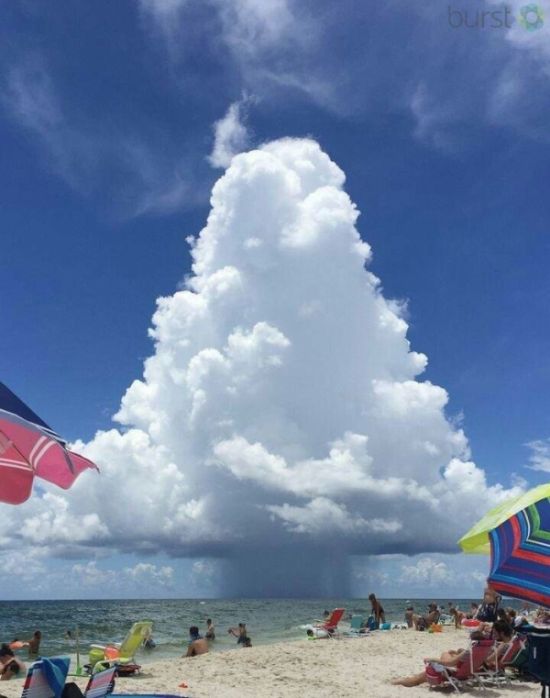 acid_picdump_71.jpg