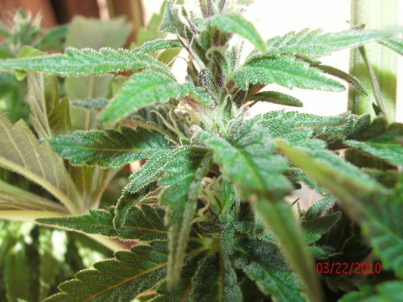 GEDC0361.jpg