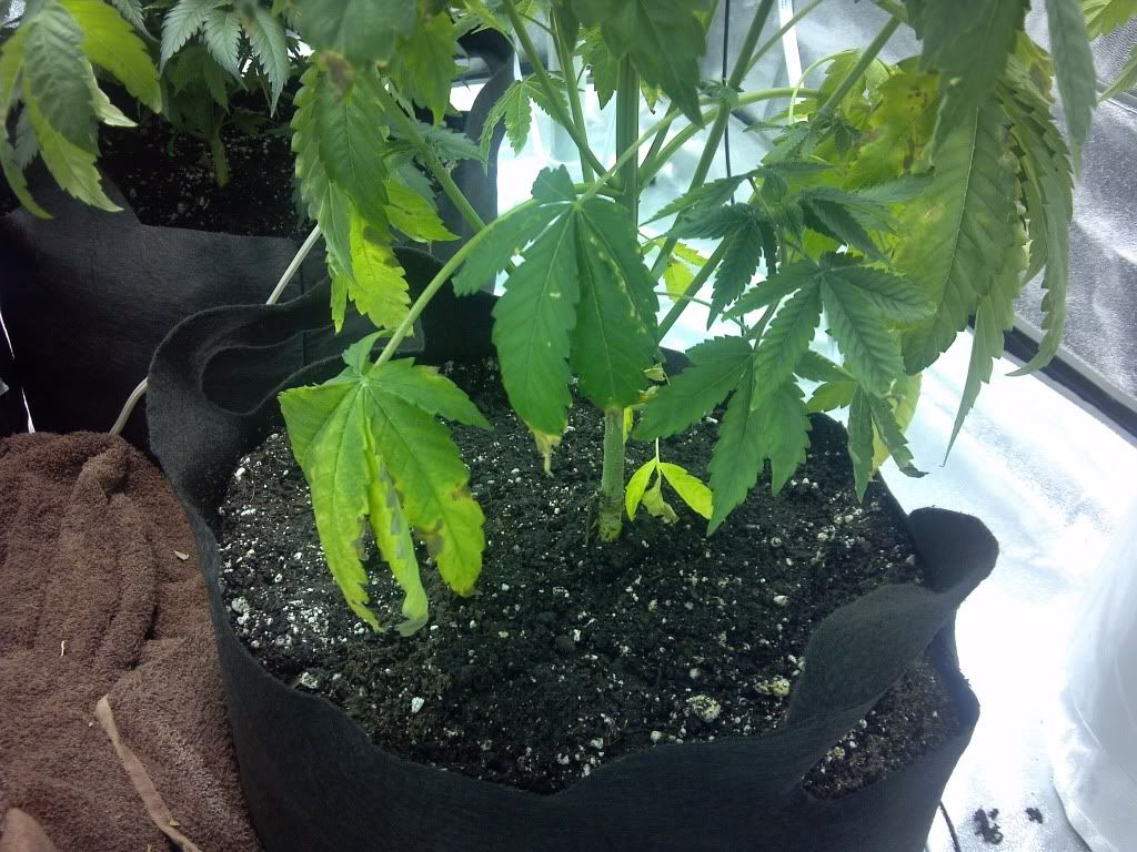 2012-11-26_14-59-57_307_zps172182b1.jpg
