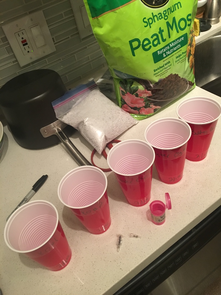 24dc92a117f6599efcad179d3f91e39e.jpg