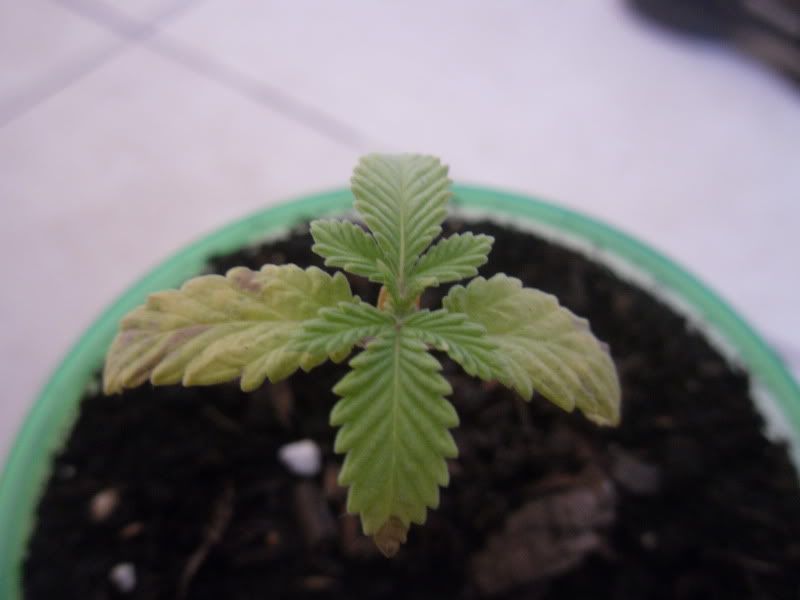 SDC10670.jpg
