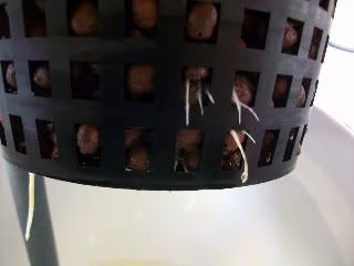 100_1074.jpg