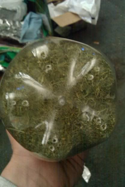 IMAG0160.jpg