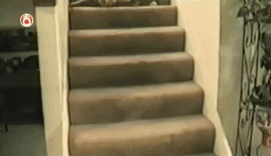 e041916bcaa9f34a3160c5a9b43651ff.gif