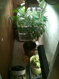 th_IMG_1024.jpg
