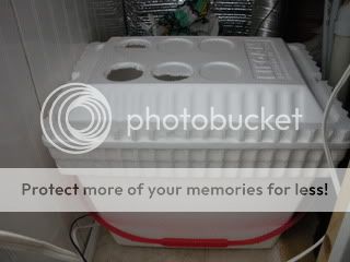 DSCN0327.jpg