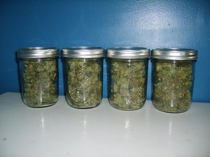 5daysdrying009.jpg