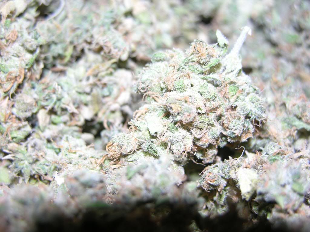 dry007.jpg