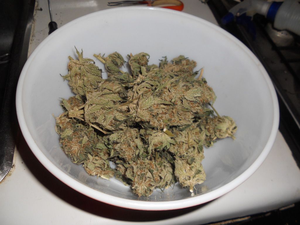 DSCN5136.jpg
