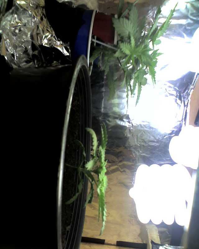 06-07-08_1838.jpg