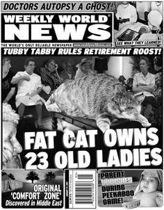 f58b29d0c40c95e6957de24cfe3fdd17--fat-cats-old-ladies.jpg