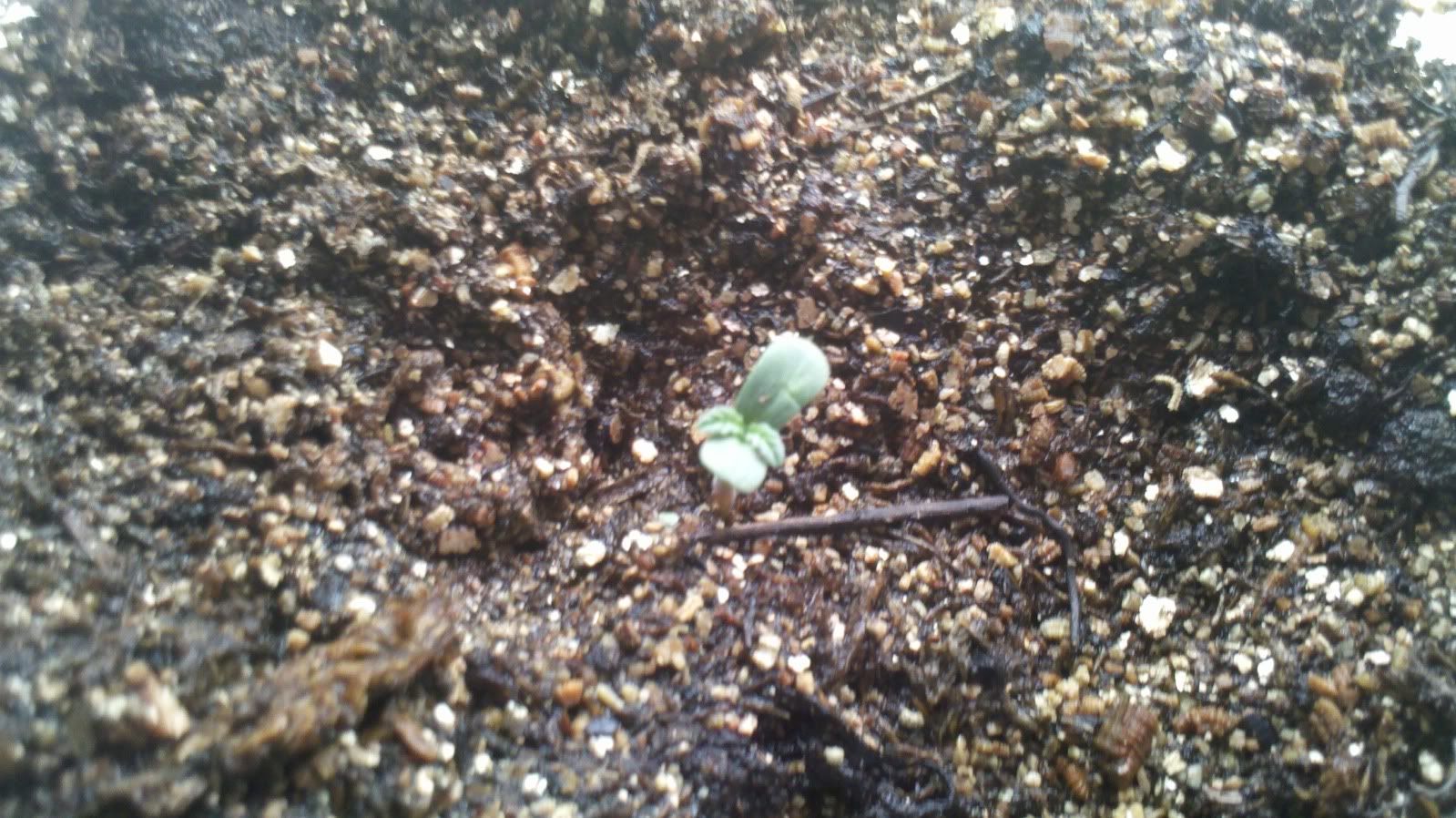 2011-09-09_12-24-20_837.jpg