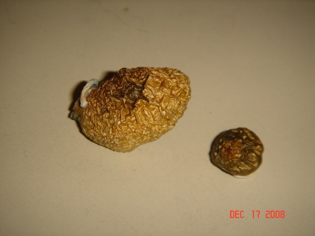 DSC02863.jpg