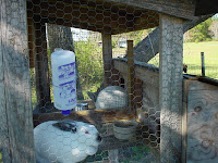 DSC01332.JPG