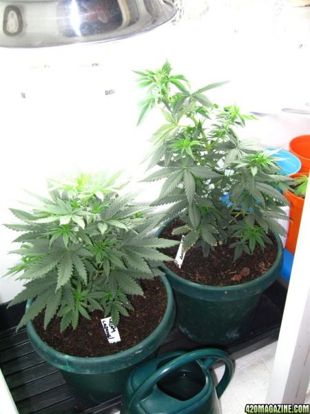 BB_CC_Update_Sep21_095.jpg