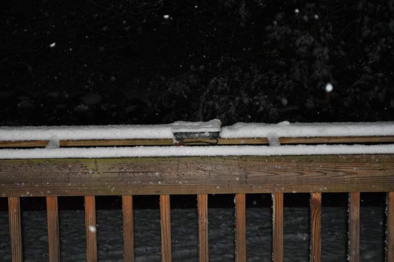 october15to16snow005.jpg