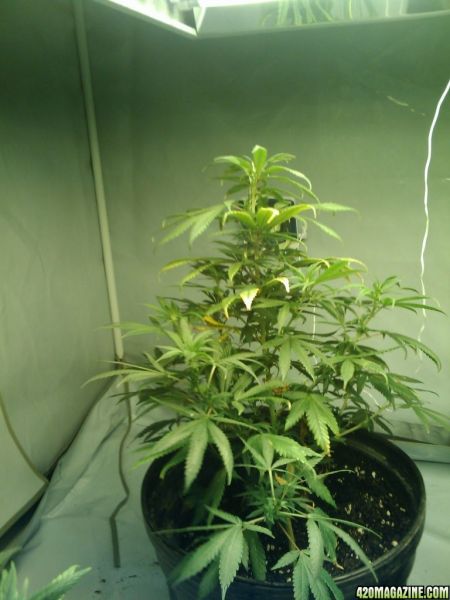 2009-10-01_20_39_16.jpg