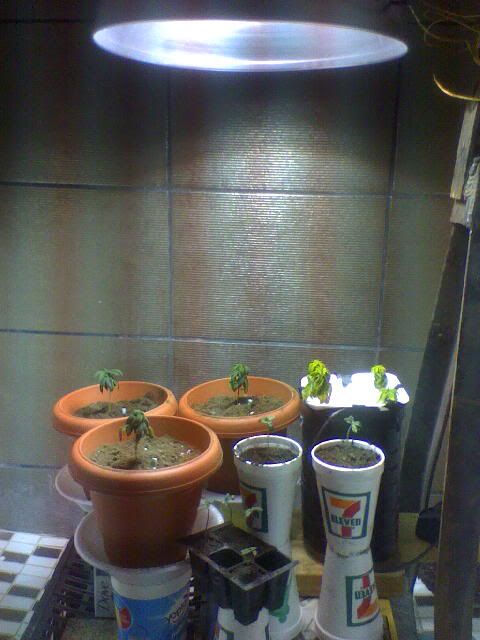 Apr14_0004-1.jpg