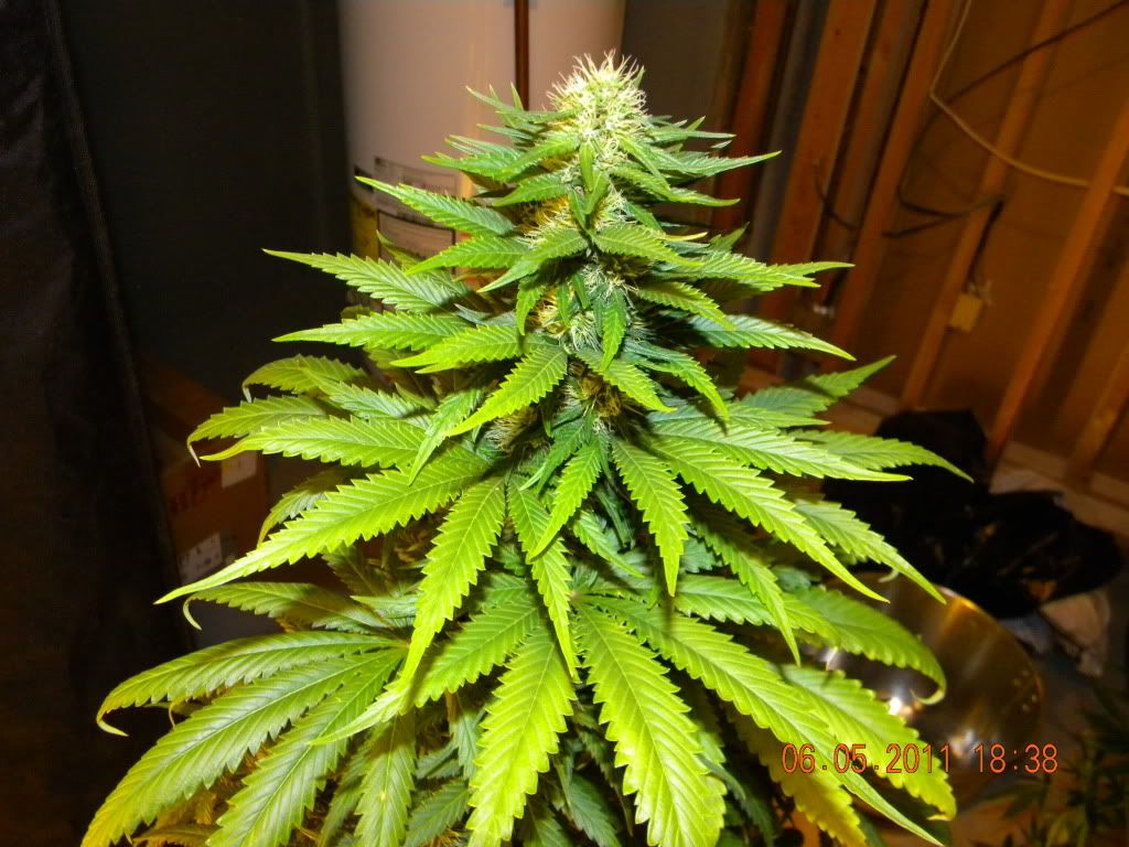 DSCN2357.jpg