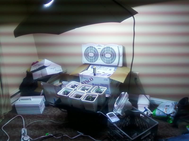 0408100441.jpg