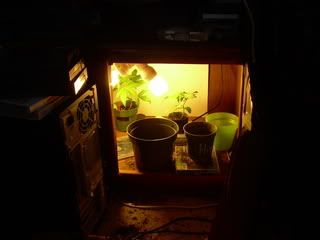 004-2.jpg