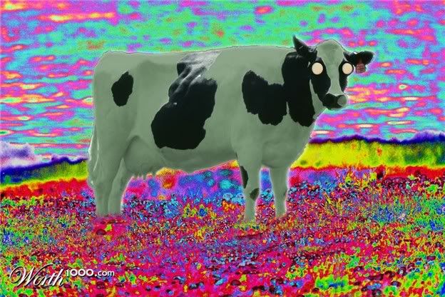 psycow.jpg