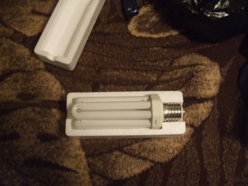 DSCF2271.jpg