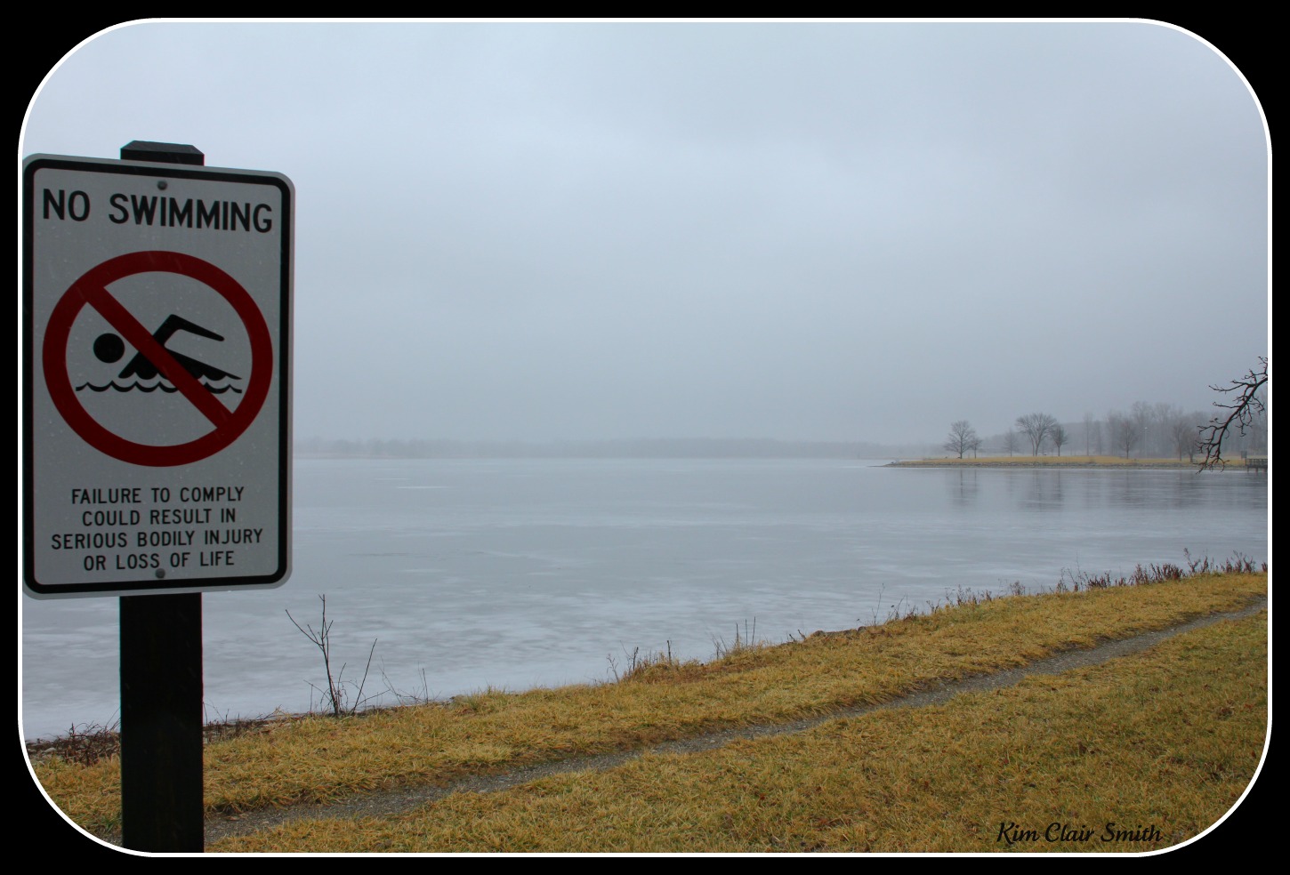 no-swimming-on-the-ice-lol.jpg