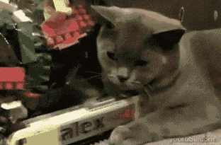tumblr_mqt268M3xu1qasthro1_r1_400.gif