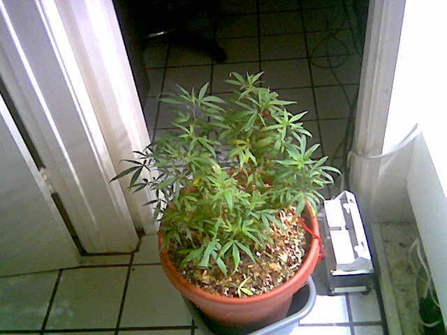 18d2fe562308.jpg