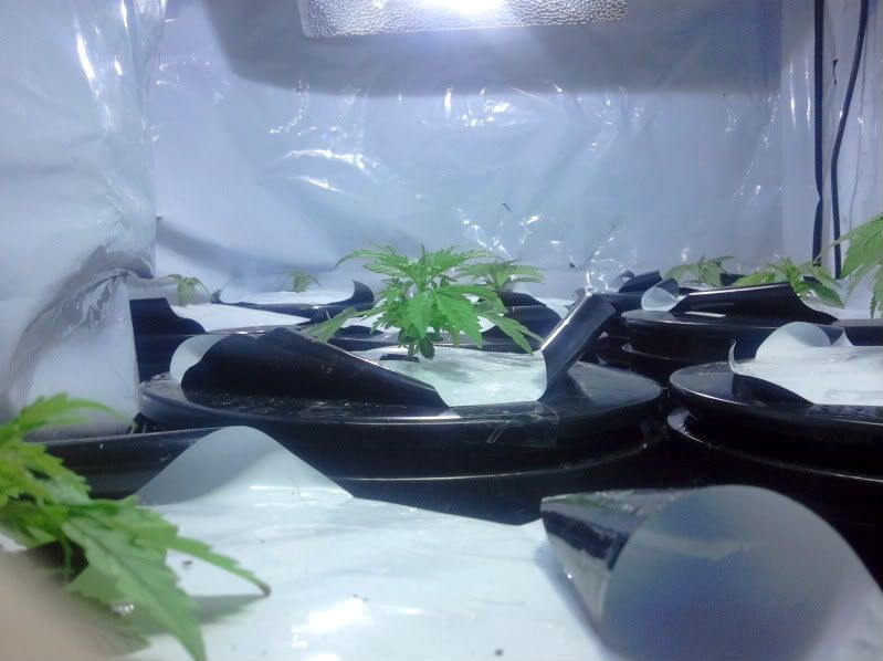 2010-12-12024014.jpg