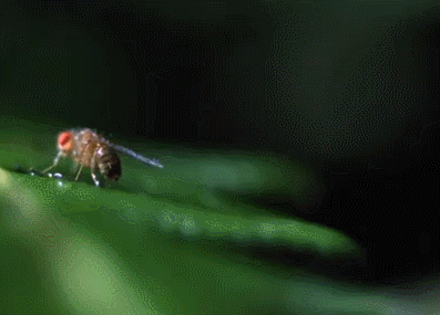 tumblr_mr2lynFG6H1rfuijjo1_400.gif
