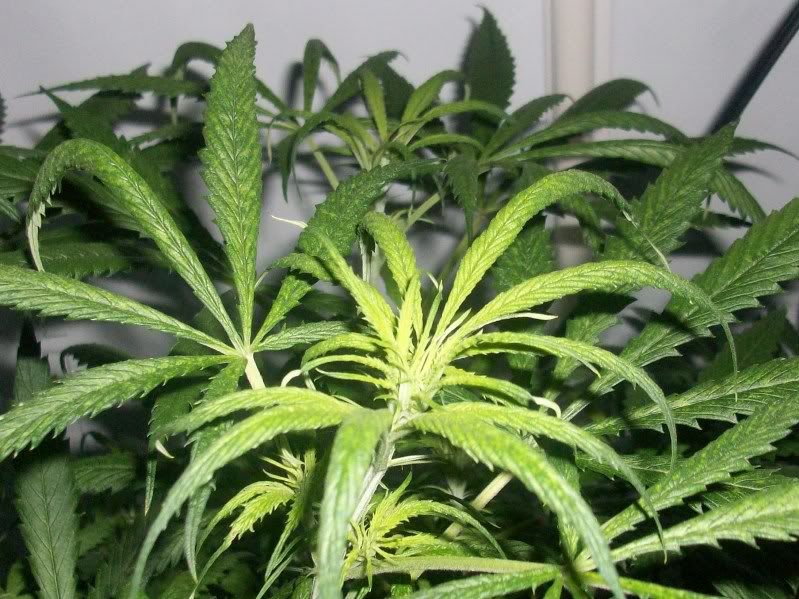 14days017.jpg