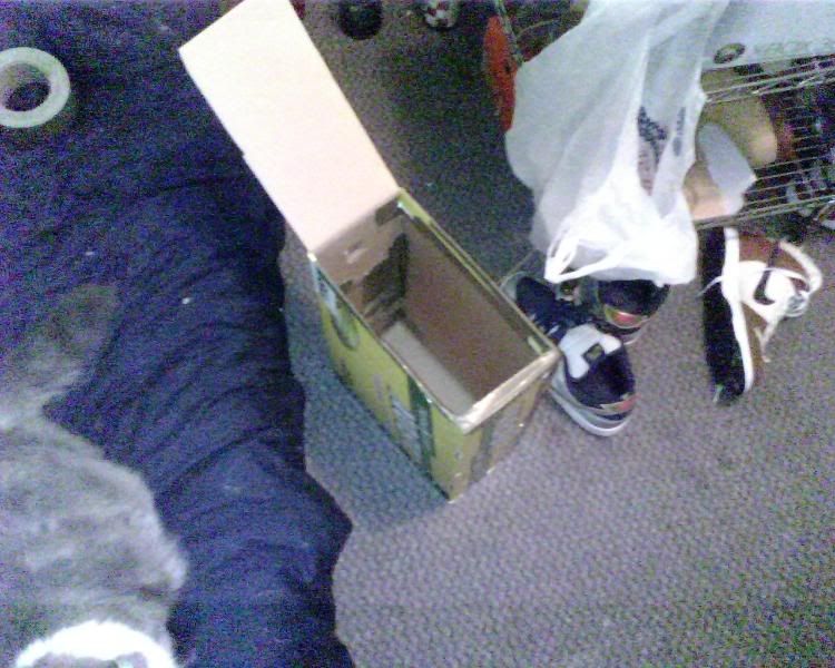 IMG00032.jpg