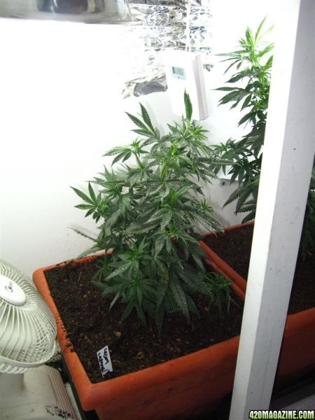 BB_CC_Update_Oct4_054.jpg