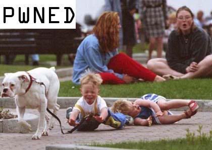 l_e6bd5ce5ad7328a2bd292bc980a1ffe7-.jpg