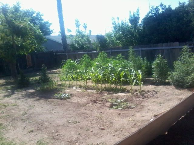 120527_001-1.jpg