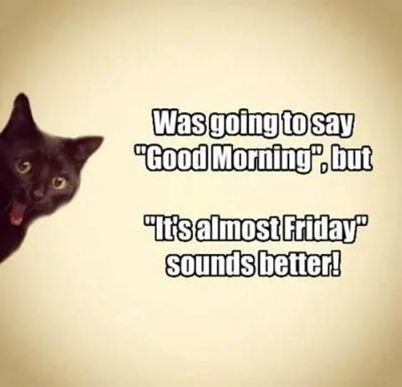 good-morning-thursday-funny-quotes.jpg