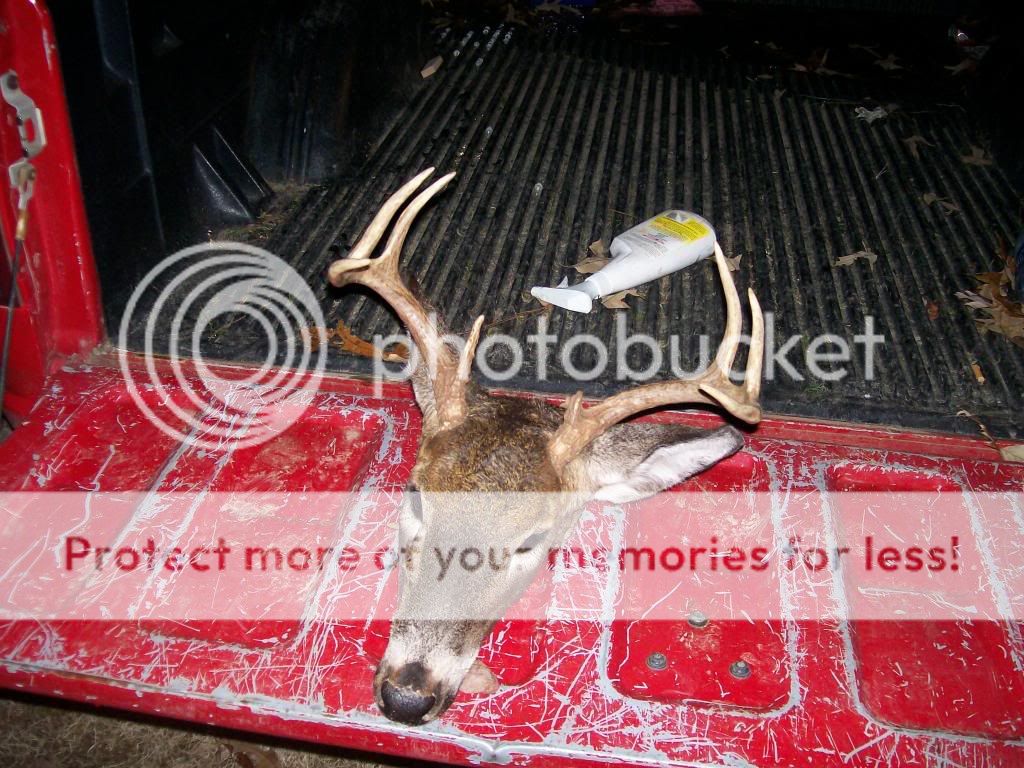 100_1381.jpg