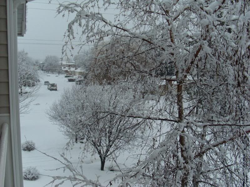 Picture002-4.jpg