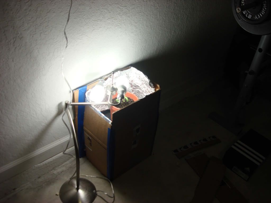 Setup4.jpg