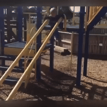 1645106358_gif_12.gif