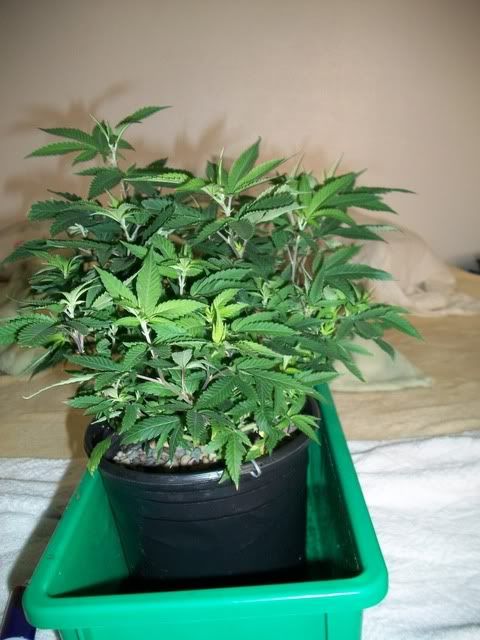 4-22-11062.jpg