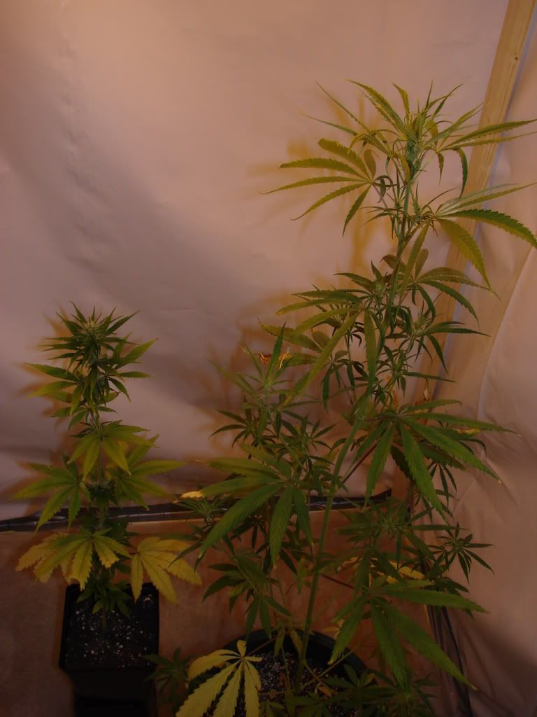Picture022.jpg