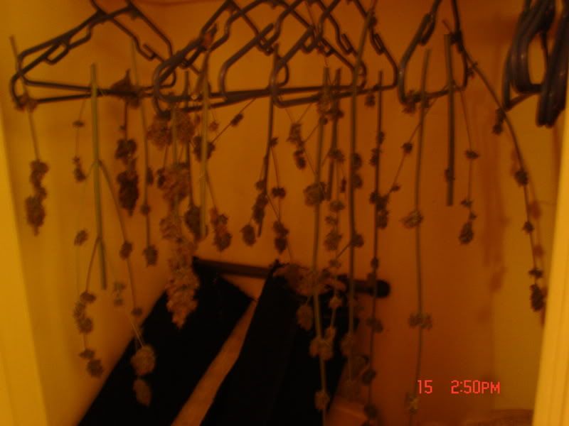 Picture023.jpg