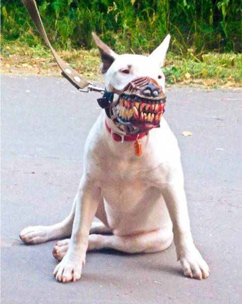 acid_picdump_95.jpg