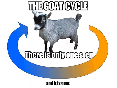 goat+fyd.jpg