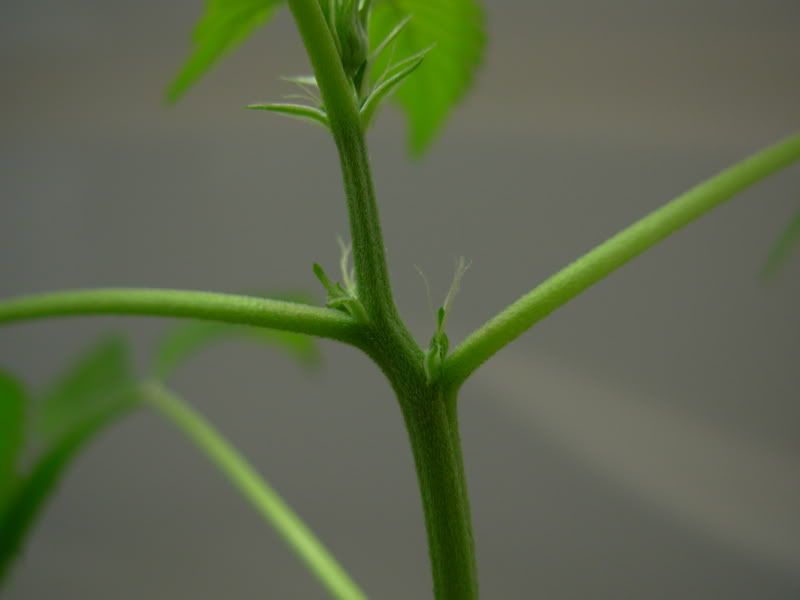 DSCN1309.jpg